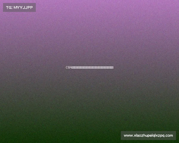 CBA球员工资现状解析及影响因素分析：薪资结构与球队运营的关系